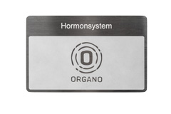 ORGANETIK Programm-Karte Hormonsystem