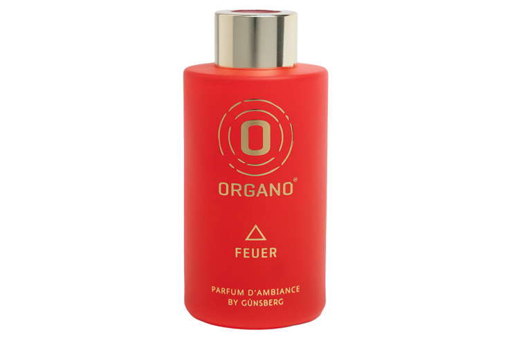 ORGANO Raumduft Feuer Flacon 100ml