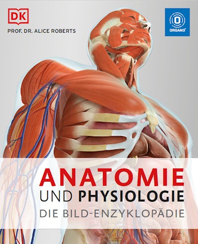 Anatomie und Physiologie - Die Bild-Enzyklopädie